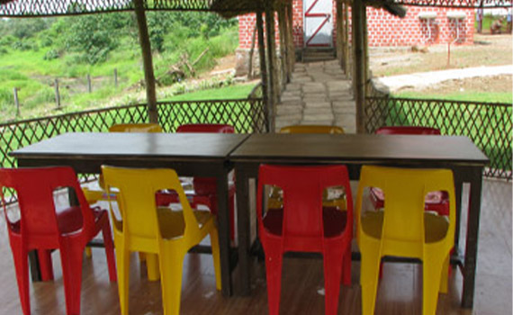 dining 123